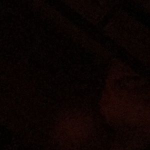 Meet your Posher, RaÃ«n